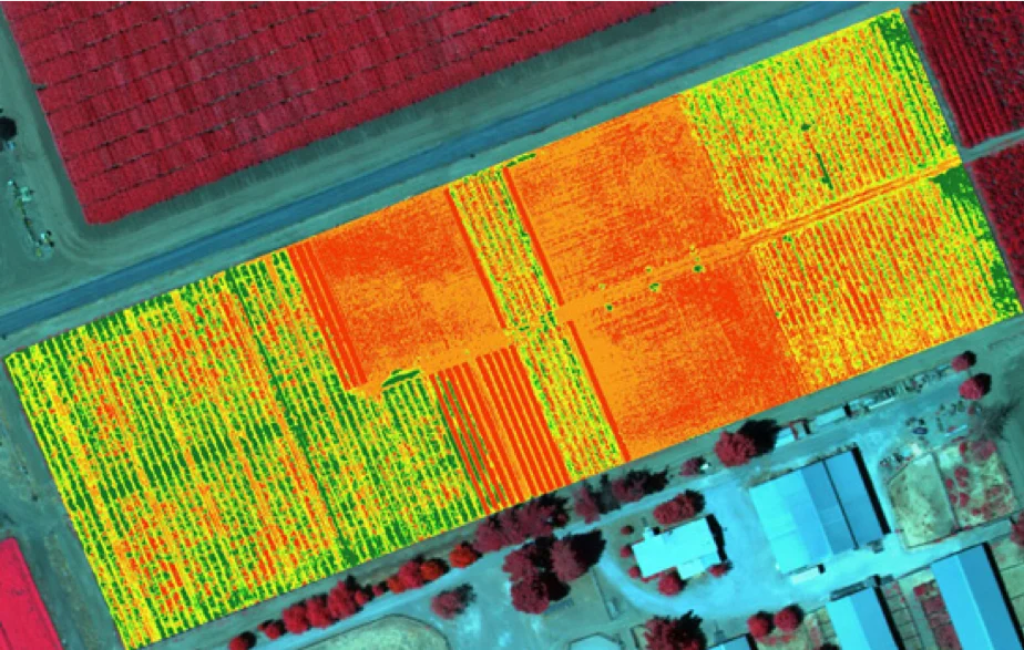 How Multispectral Drones Are Revolutionizing Agriculture: From Crops to Livestock